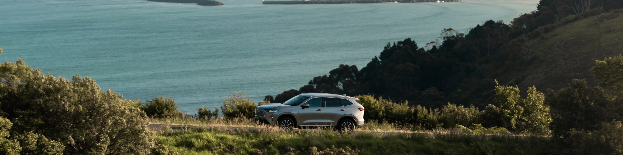 Suv Pb